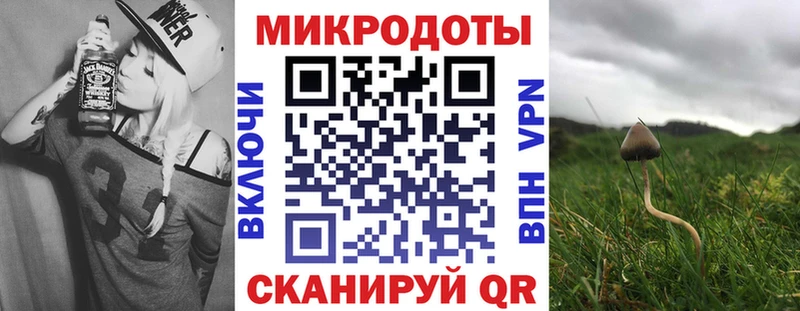 Галлюциногенные грибы Psilocybe  Агидель 